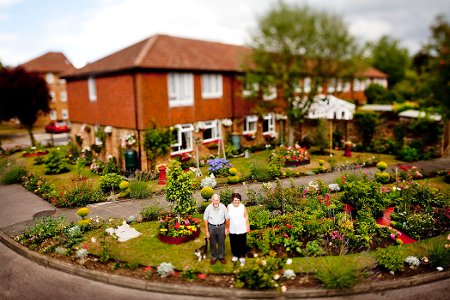 Blooming Britain, 2009