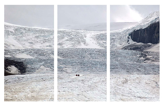 Columbia Icefields