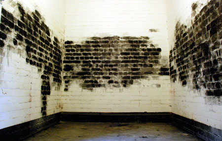 Ruth Scott - Blacking, Image 3