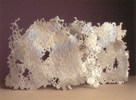 Lace Fragments