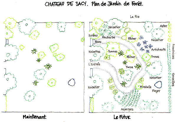 Plan du jardin de fôret à Sacy