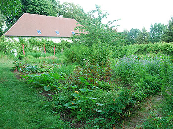 Vegetable garden